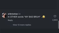 Comments under the Shaderoom's post on Soulja Boy calling it quits. (Image via Instagram/@theshaderoom)
